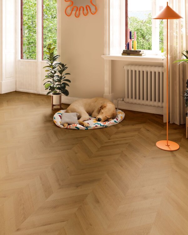 Pavimento Laminado Dijon Chevron 281B