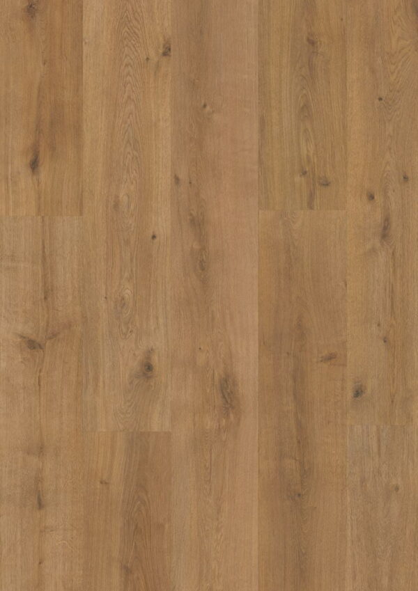 Pavimento Laminado Legacy Vera Oak XL 367B