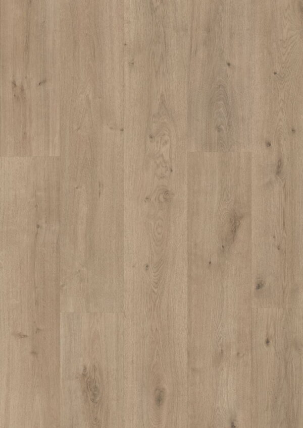 Pavimento Laminado Century Vera Oak XL 369B