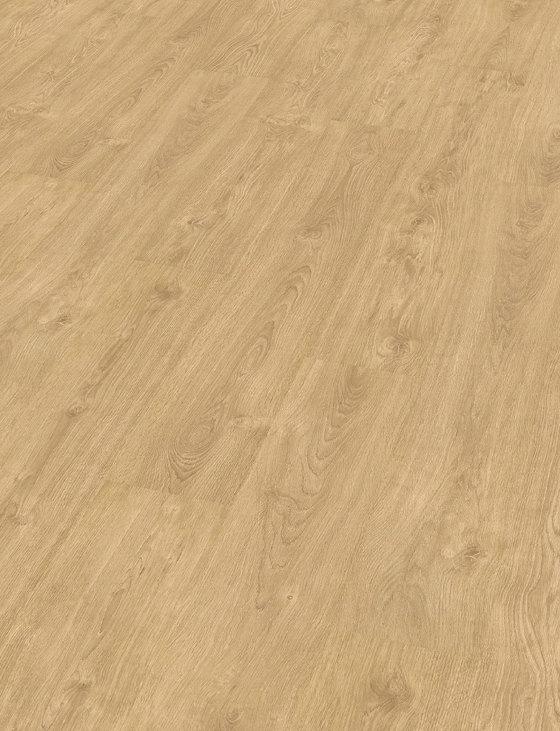 Pavimento Laminado Carvalho Bolonia 12X - Imagen 3