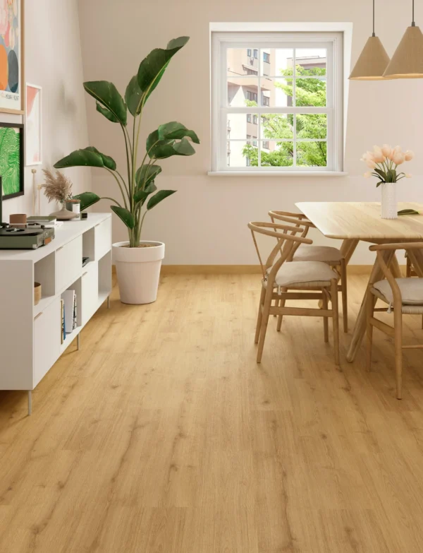 571B Eneas Oak