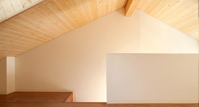 tetofalso04